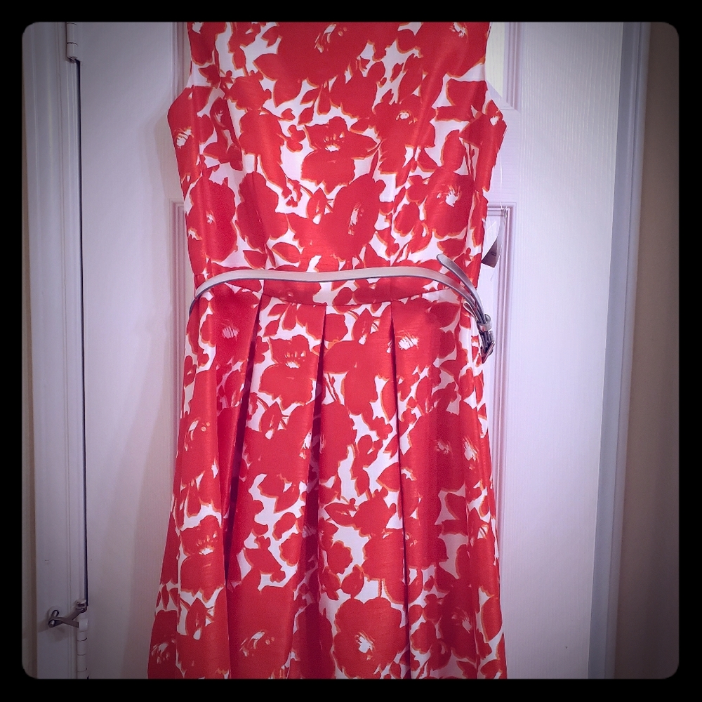 Beautiful and Bold Spring/Summer Dress